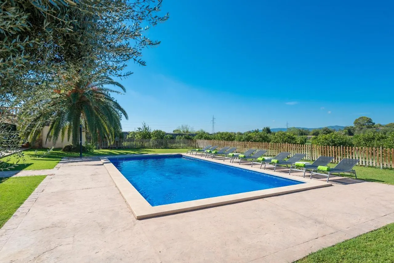 Ses Cases De S'Hort Palma de Mallorca 0*,